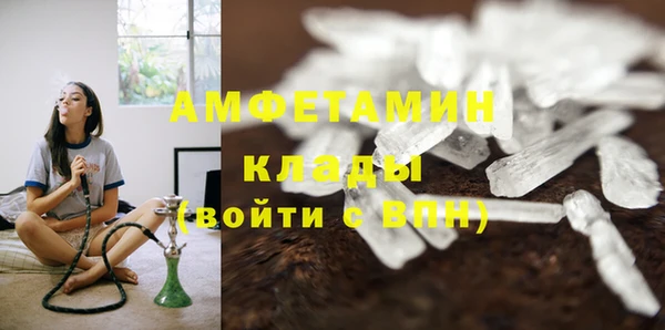 амф Алексин